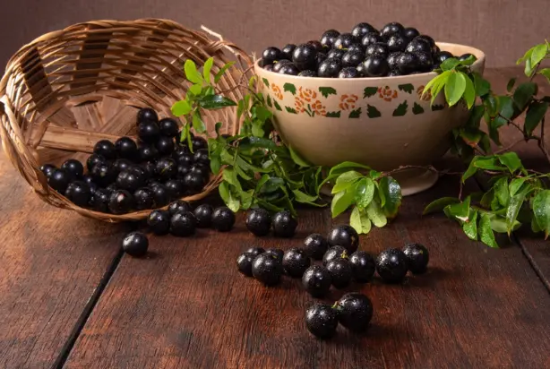 jabuticaba juice benefits
