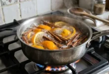 boiling orange peels with cinnamon for home fragrance